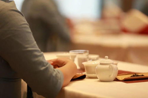 北川三月好風光 美女邀你采茶品茗