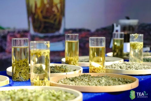 2024廈門國際春季茶博會圓滿落幕