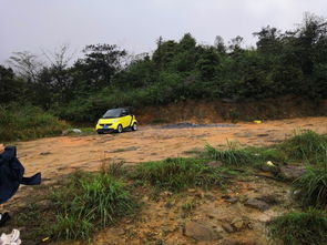 夏初春色 大美茶巖頂20190420