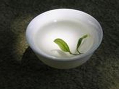 加盟品茶匯 打造賺錢利器，共享美茶事業