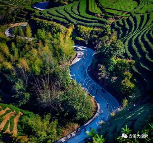 安溪醉美茶香路，是不是你家門口那條路？