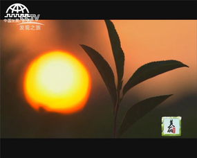 美麗中華行之稻美茶香 樂居下蜀